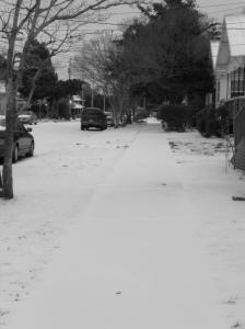 Snow Day S 8th St BW
